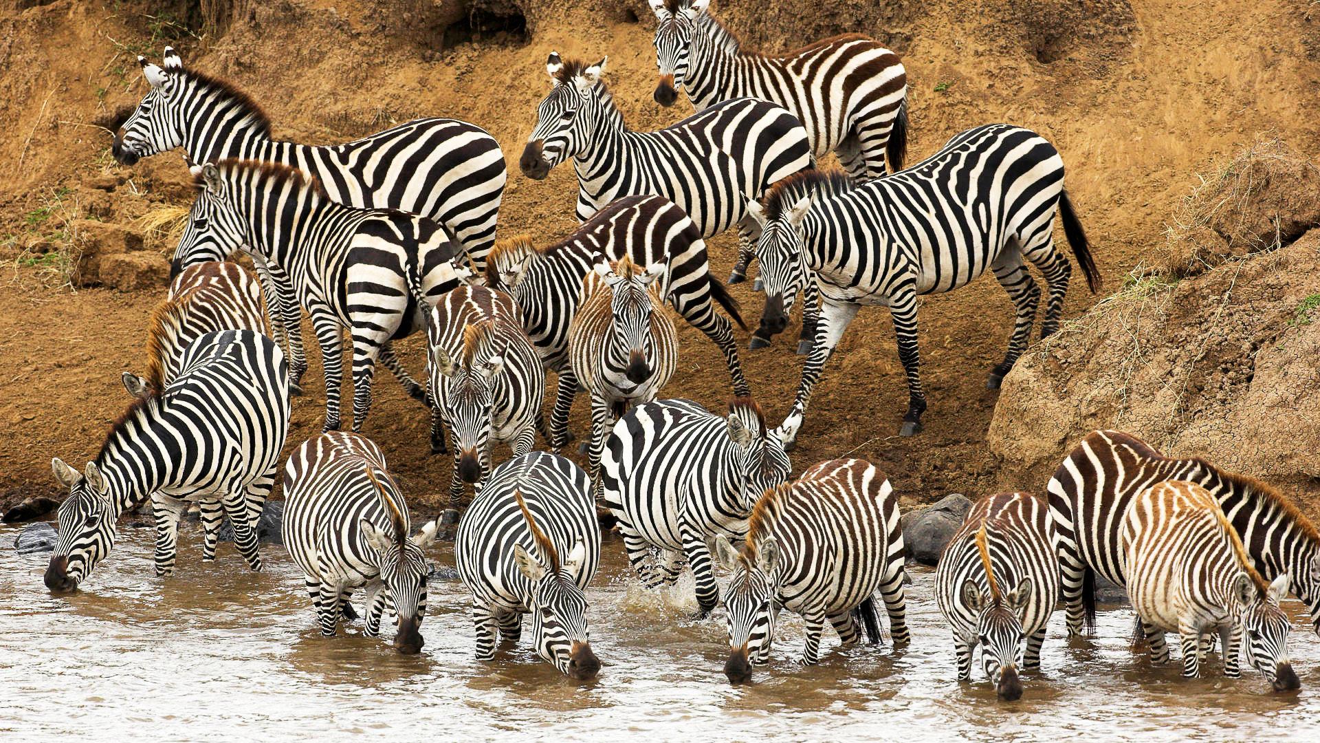 Murchison Falls